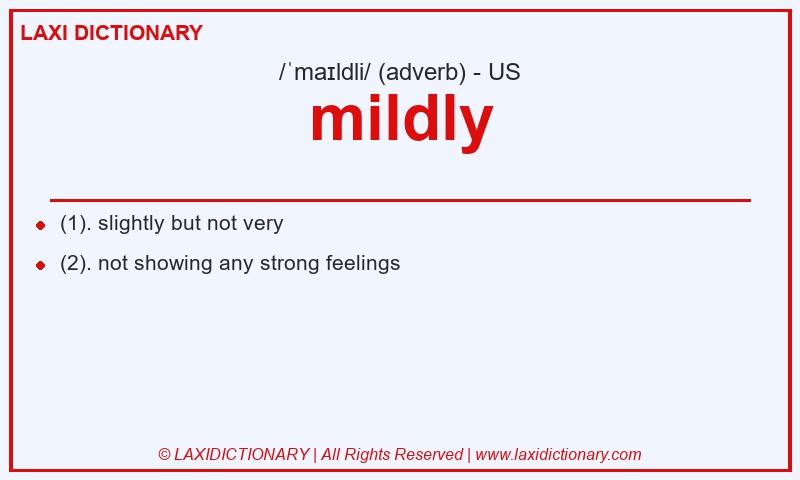 Definition mildly in American English