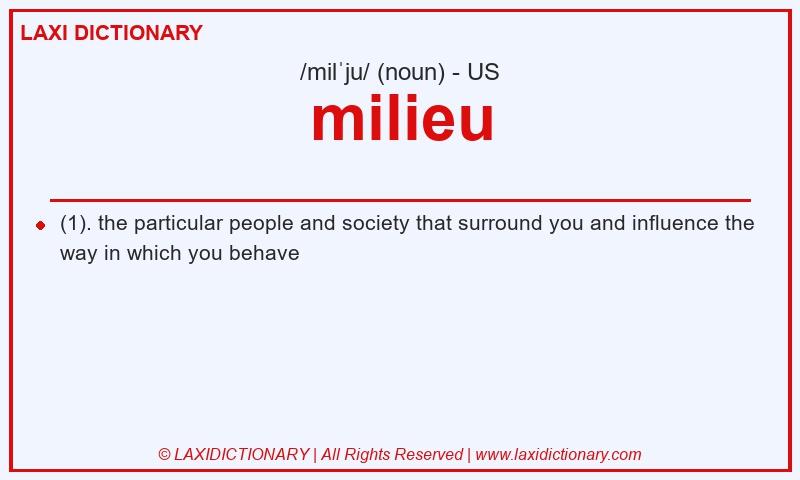 Definition milieu in American English