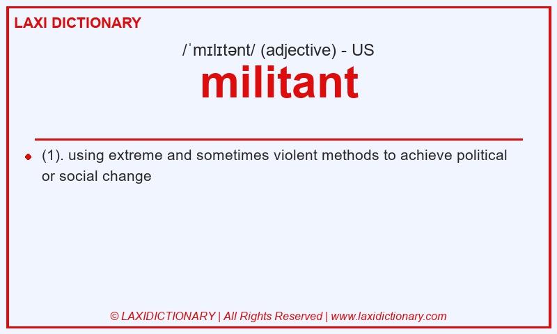 Definition militant in American English