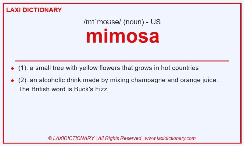 Definition mimosa in American English