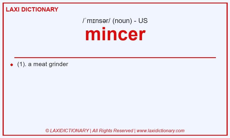Definition mincer in American English