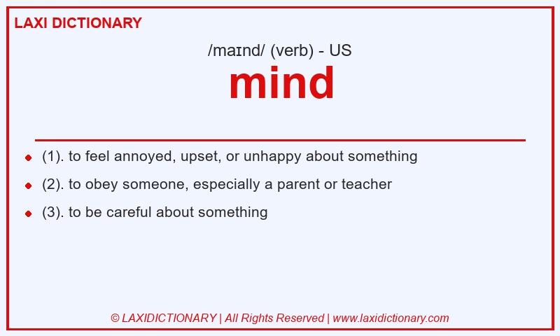 Definition mind in American English