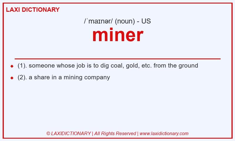 Definition miner in American English