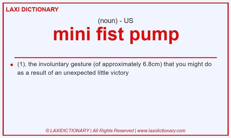 Definition mini fist pump in American English