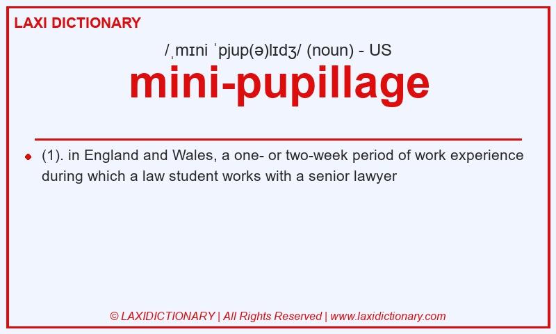 Definition mini-pupillage in American English
