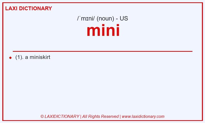 Definition mini in American English