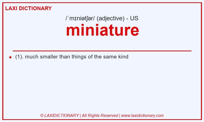 Definition miniature in American English