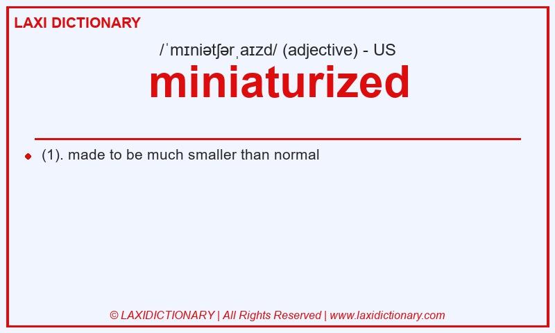Definition miniaturized in American English