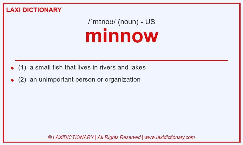 Definition minnow in American English