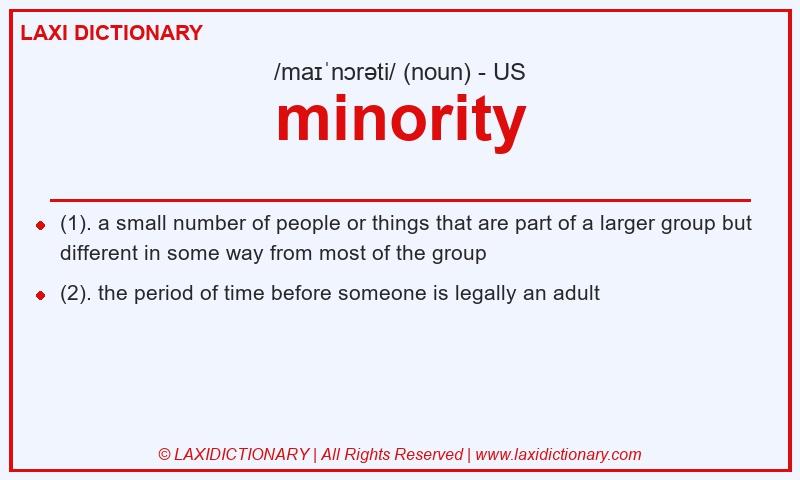 Definition minority in American English