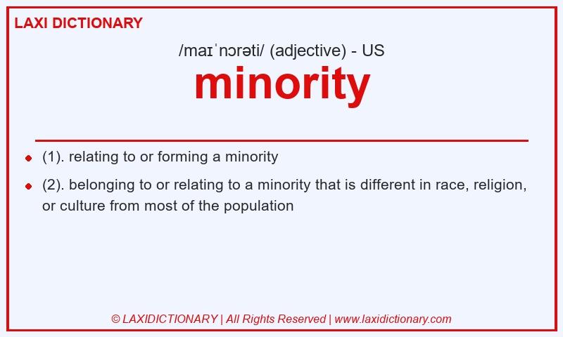 Definition minority in American English