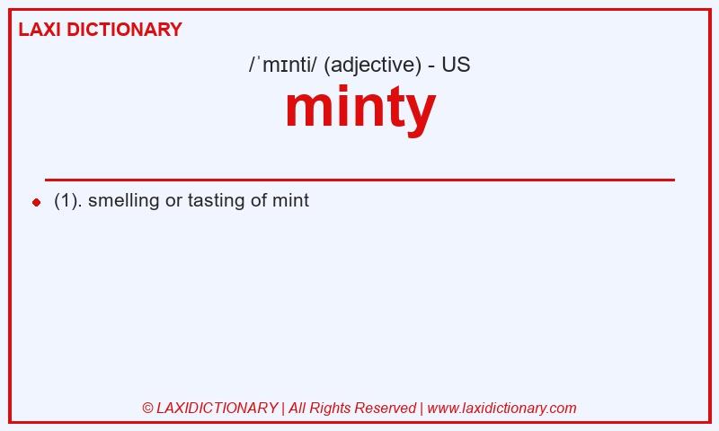 Definition minty in American English