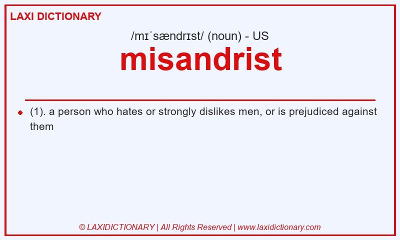 Definition misandrist in American English