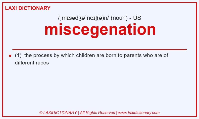 Definition miscegenation in American English