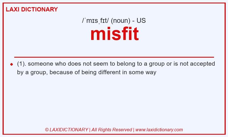 Definition misfit in American English