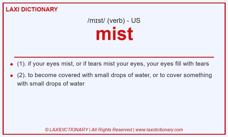 Definition mist in American English