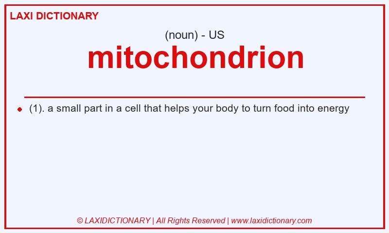 Definition mitochondrion in American English