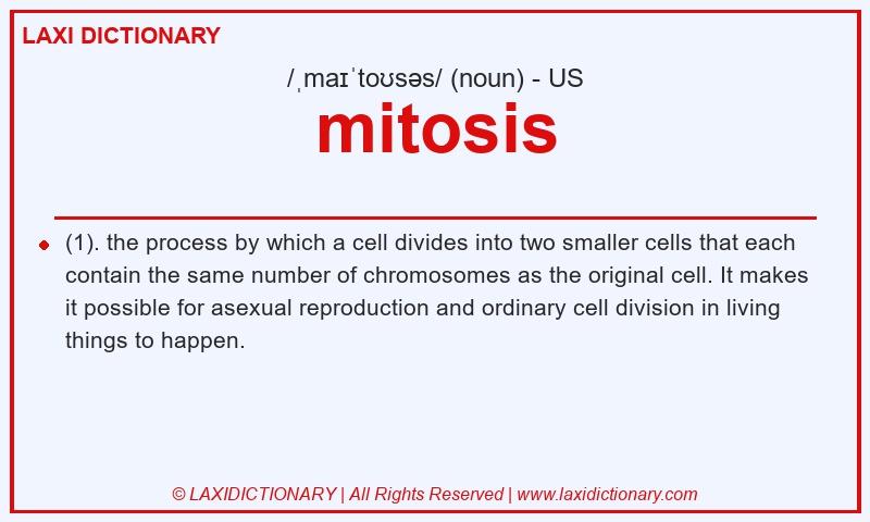 Definition mitosis in American English