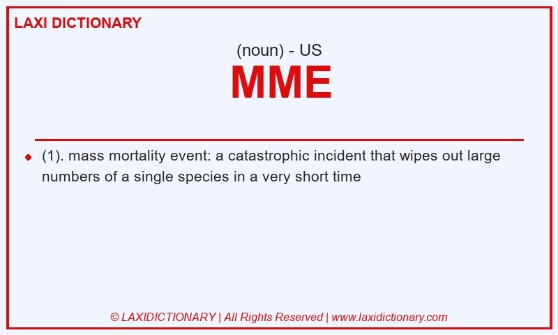 Definition MME in American English
