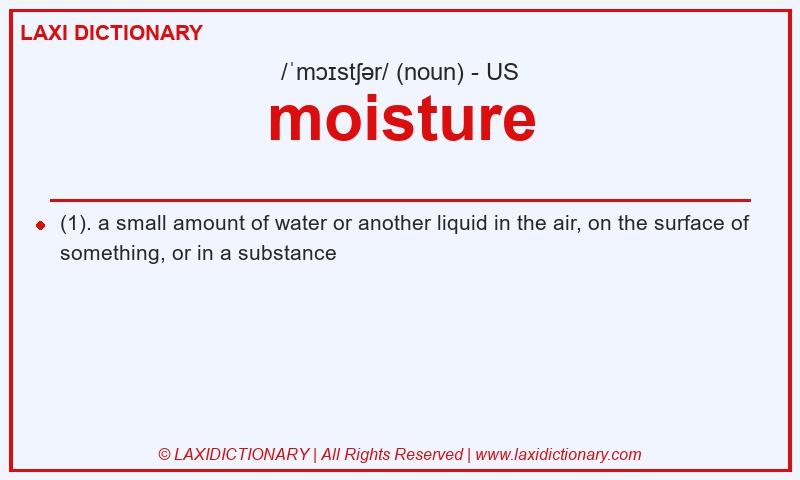 Definition moisture in American English