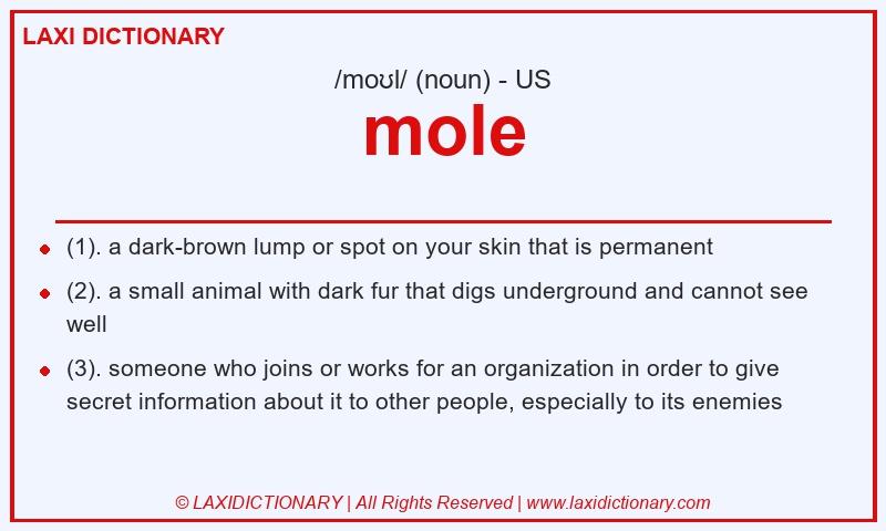 Definition mole in American English