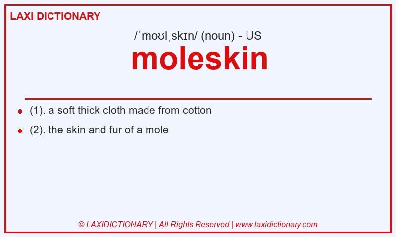 Definition moleskin in American English