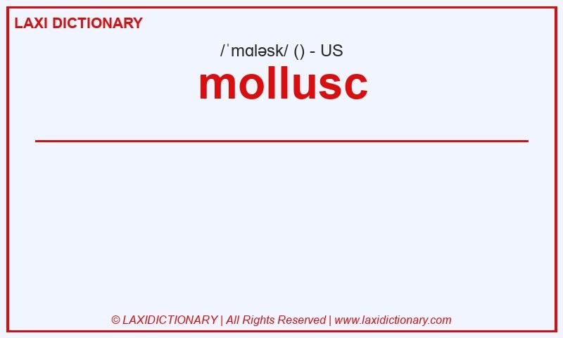 Definition mollusc in American English