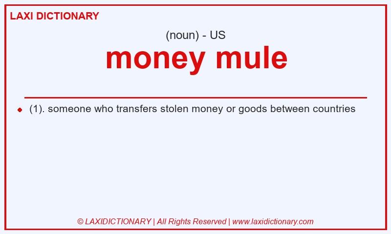 Definition money mule in American English