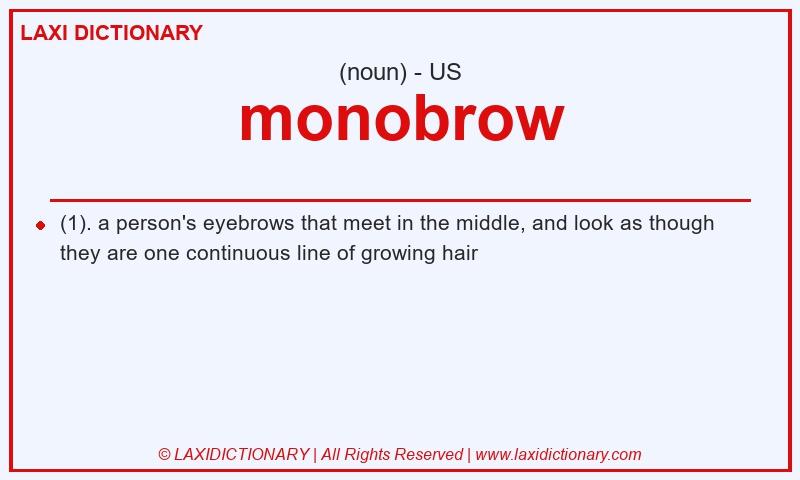 Definition monobrow in American English