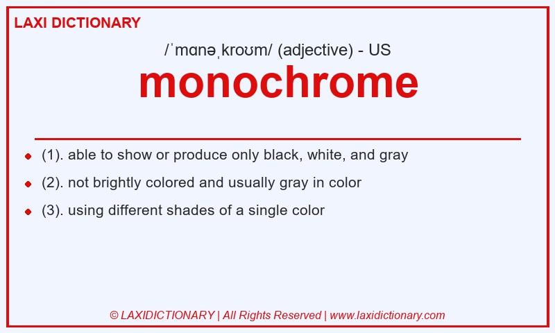 Definition monochrome in American English