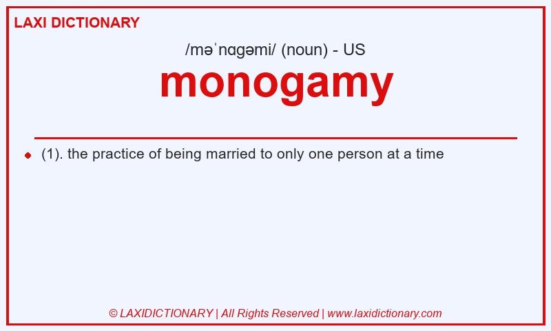 Definition monogamy in American English