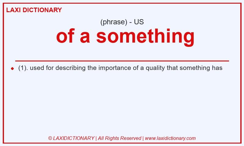 Definition of a something in American English
