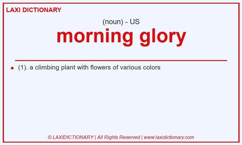 Definition morning glory in American English