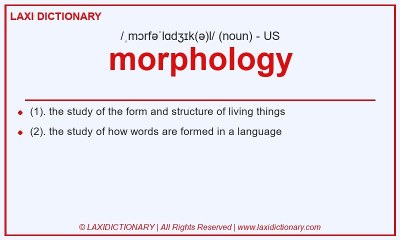 Definition morphology in American English