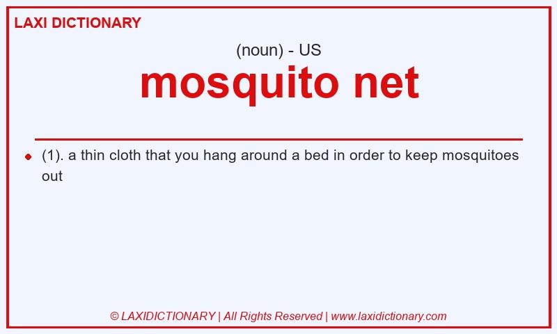 Definition mosquito net in American English