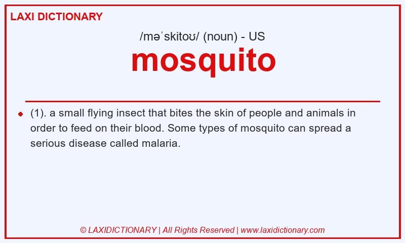 Definition mosquito in American English