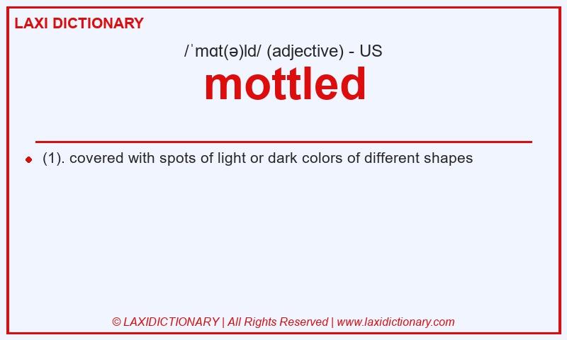 Definition mottled in American English