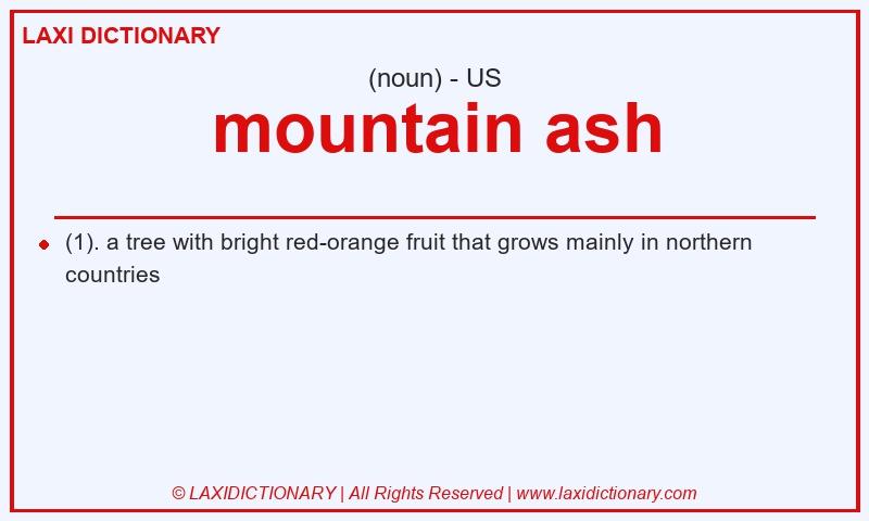 Definition mountain ash in American English