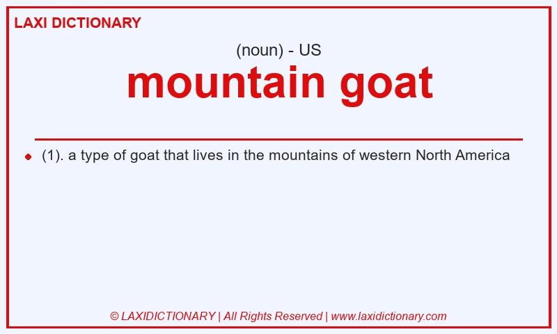 Definition mountain goat in American English
