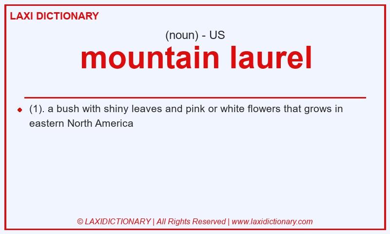 Definition mountain laurel in American English