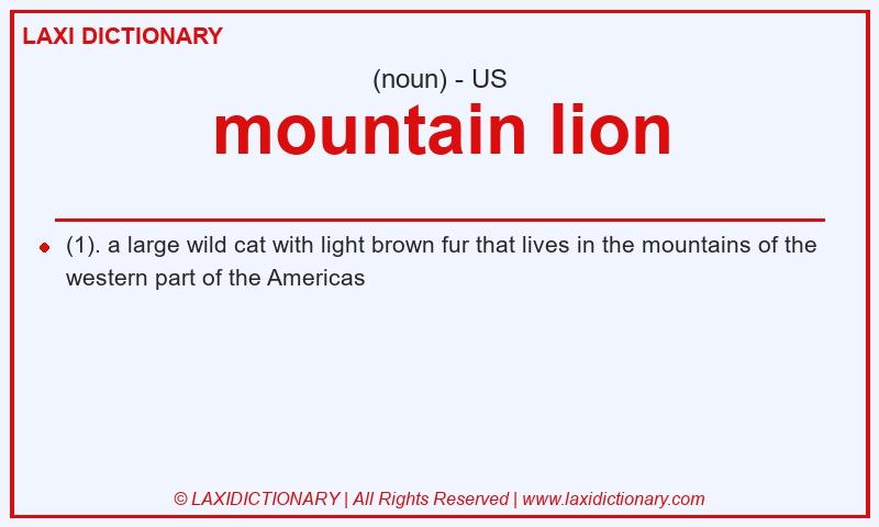 Definition mountain lion in American English