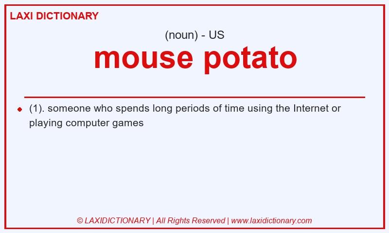Definition mouse potato in American English