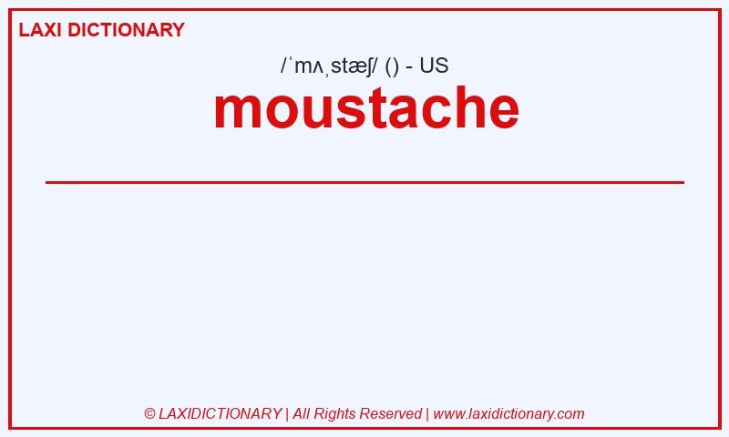 Definition moustache in American English