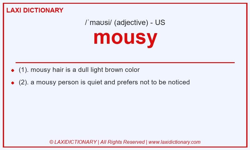 Definition mousy in American English