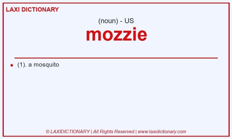 Definition mozzie in American English