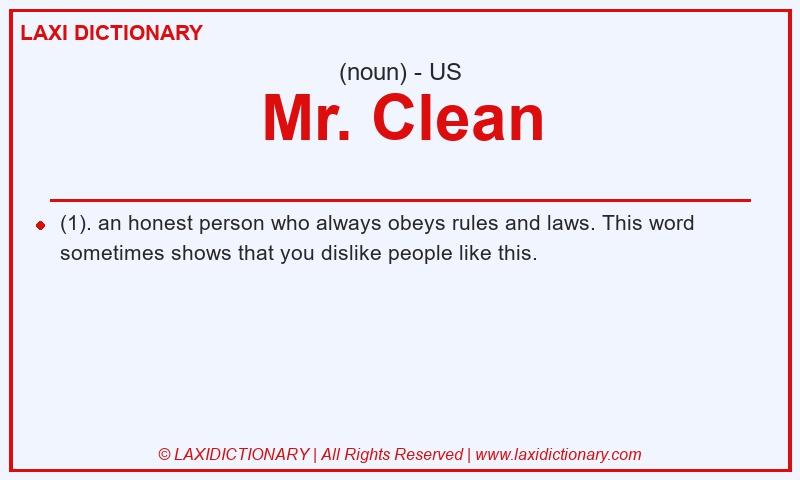 Definition Mr. Clean in American English