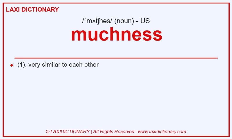 Definition muchness in American English