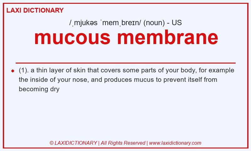 Definition mucous membrane in American English