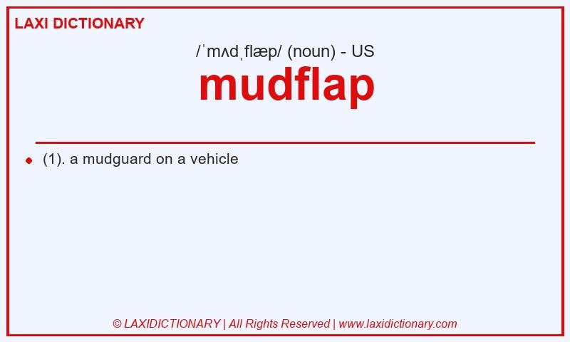 Definition mudflap in American English
