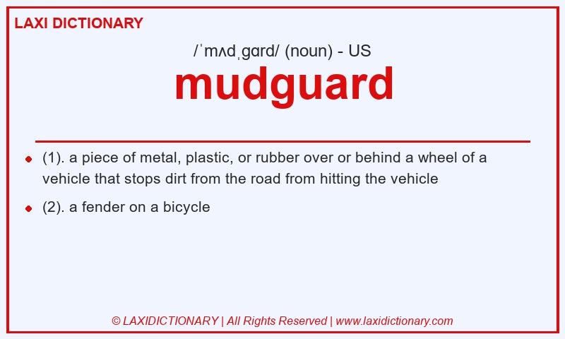 Definition mudguard in American English